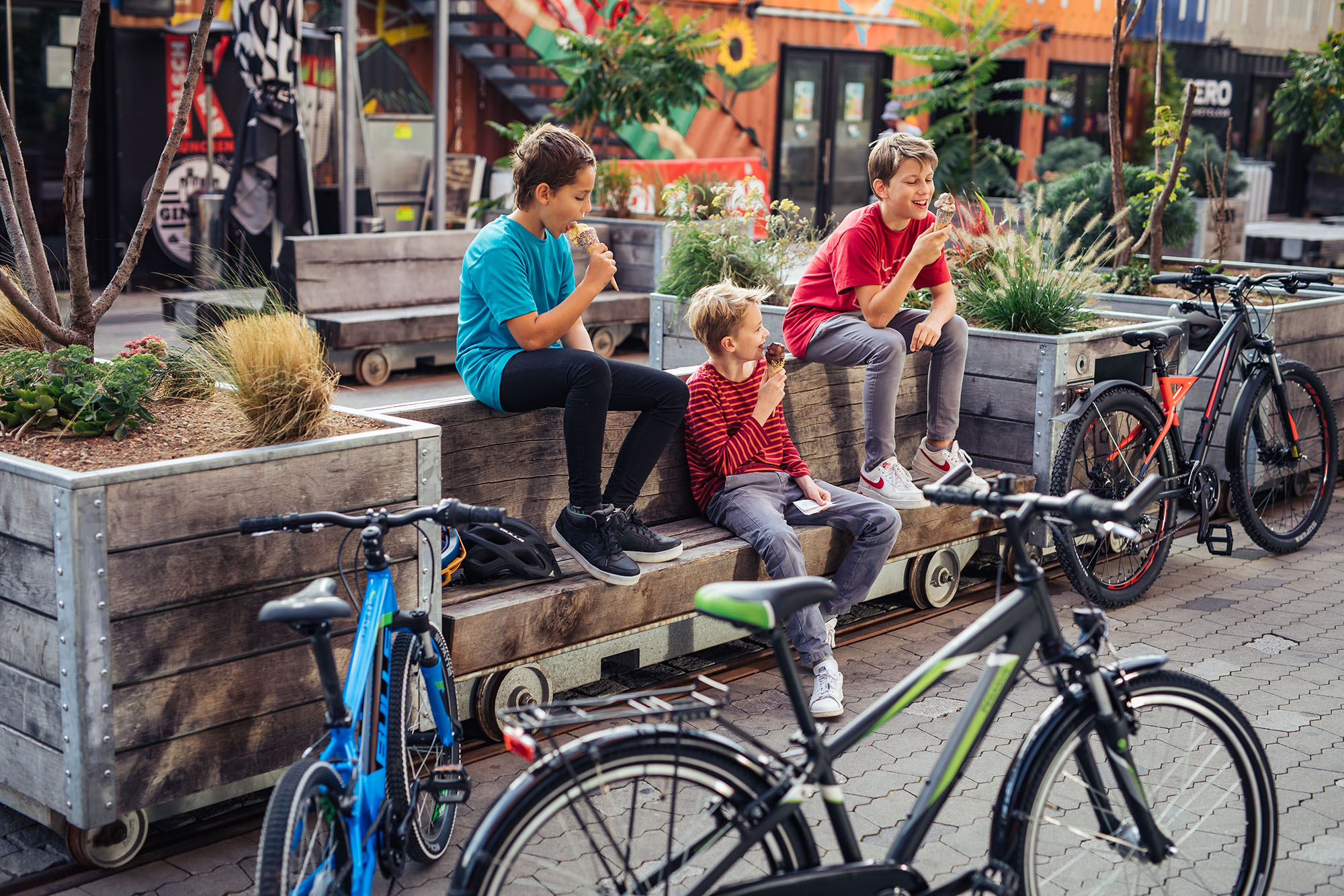 bike_jugendraeder_ab9_bulls_2020.jpg