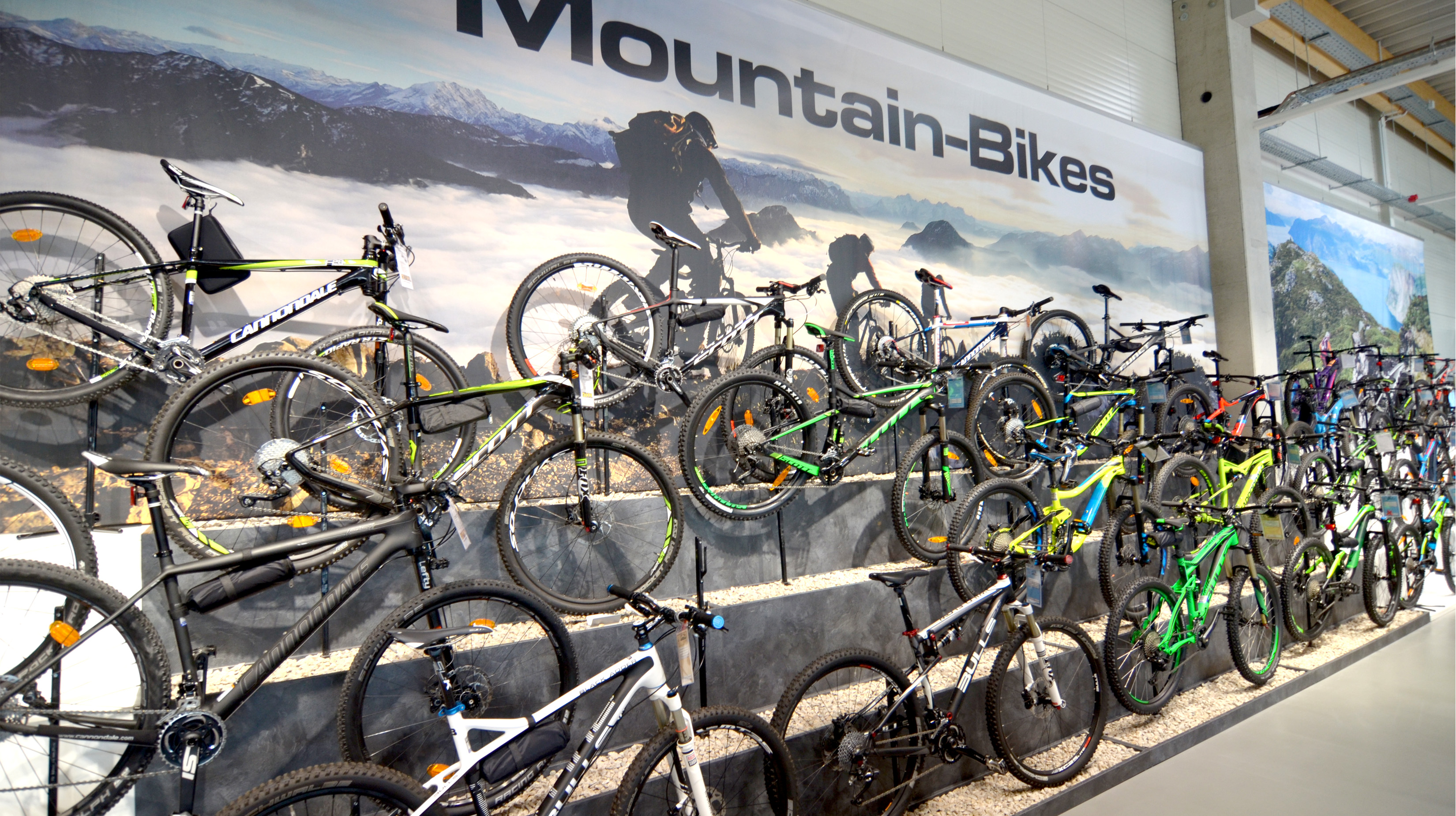 Mountain Bikes